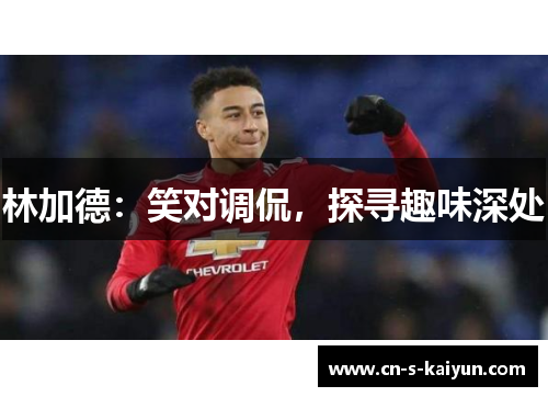 林加德：笑对调侃，探寻趣味深处