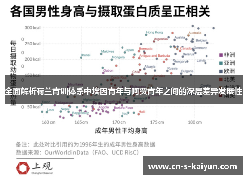 全面解析荷兰青训体系中埃因青年与阿贾青年之间的深层差异发展性 全面解析荷兰青训体系中埃因青年与阿贾青年之间的深层差异发展性
