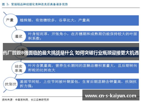 药厂晋级8强面临的最大挑战是什么 如何突破行业瓶颈迎接更大机遇