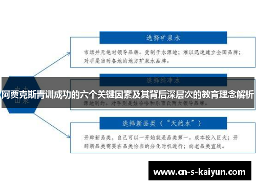 阿贾克斯青训成功的六个关键因素及其背后深层次的教育理念解析