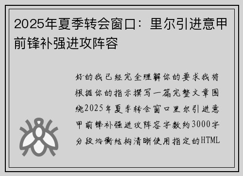 2025年夏季转会窗口：里尔引进意甲前锋补强进攻阵容